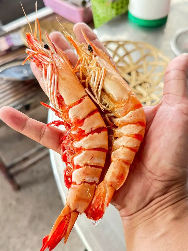 Tôm còn sống trên tay trước khi đưa vào chế biến