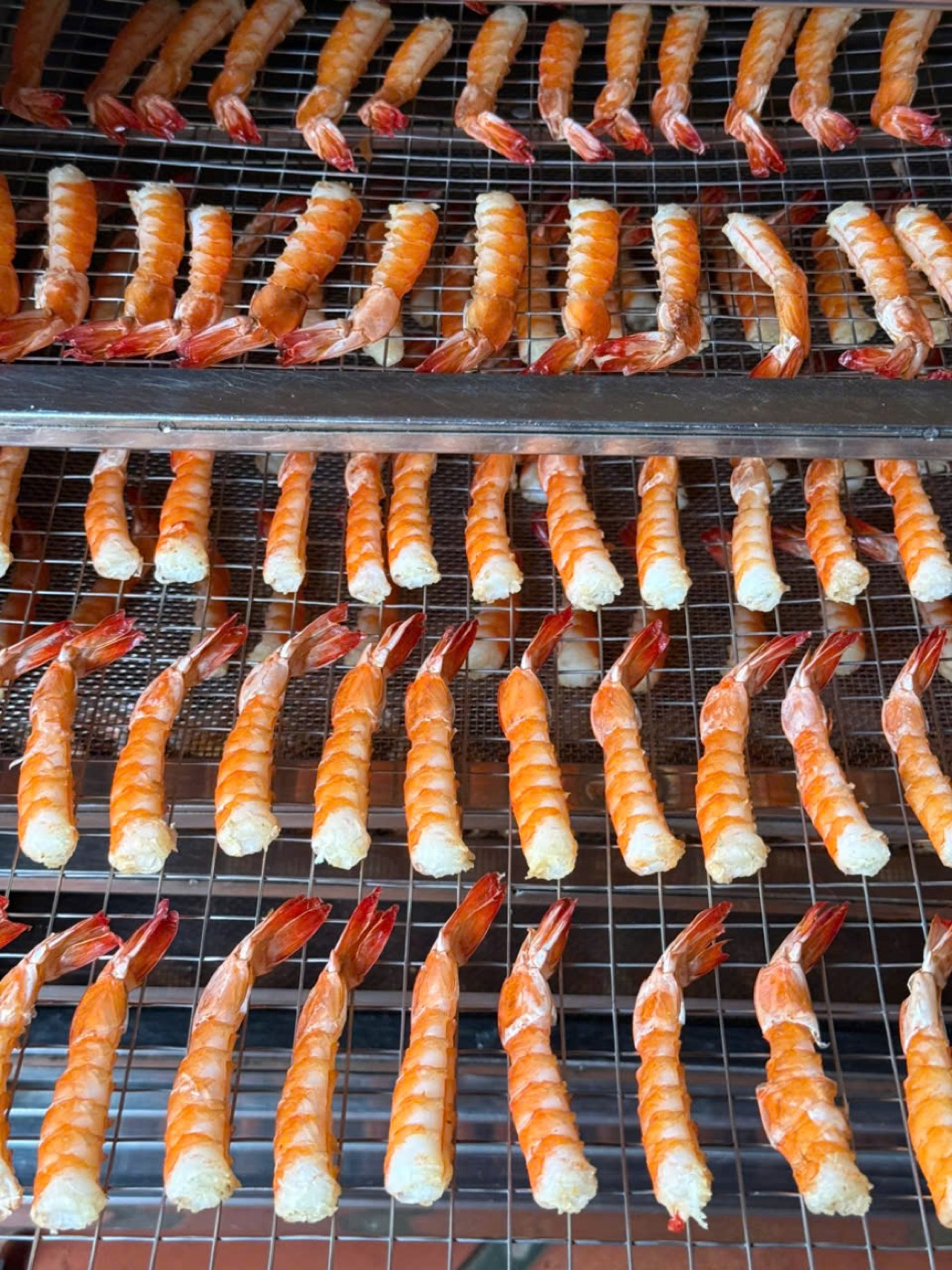 Vỉ tôm trong máy sấy môi trường kín